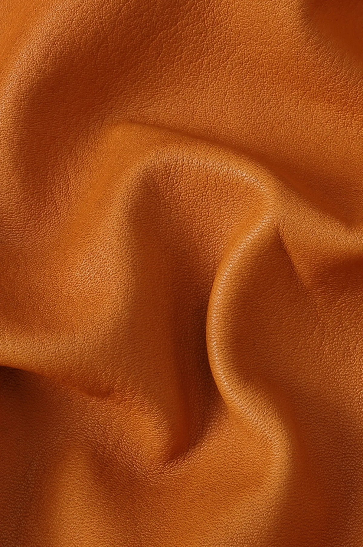 (COGNAC)